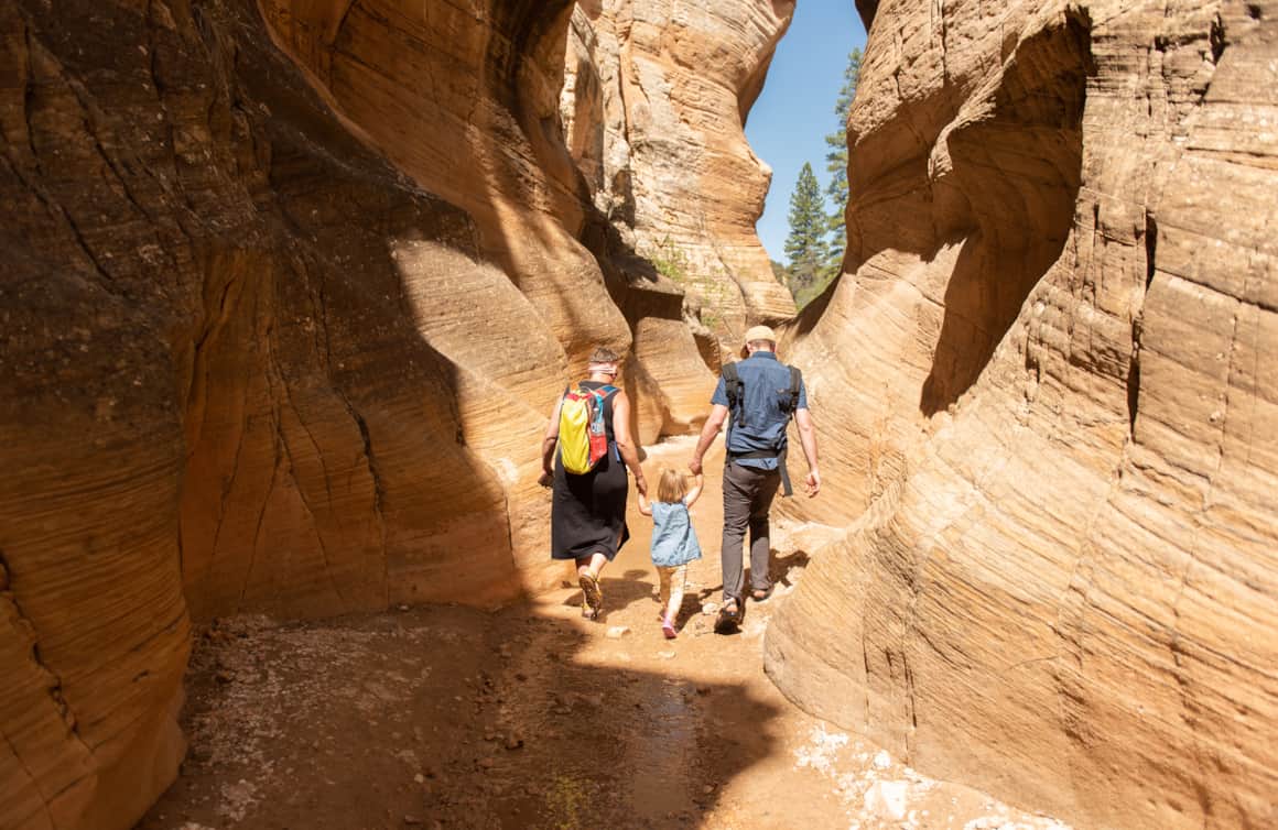 Willis Creek Canyon