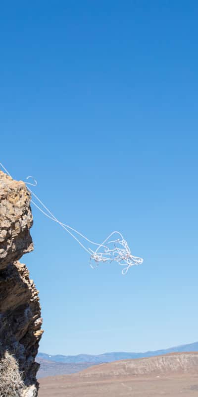 Getting into nests to check on the condition of young golden eagles requires skills ranging from tree climbing to rappelling down a sheer cliff face.