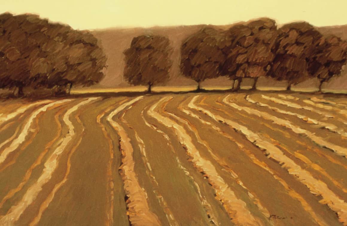 Landscape pieces by Kathleen Peterson