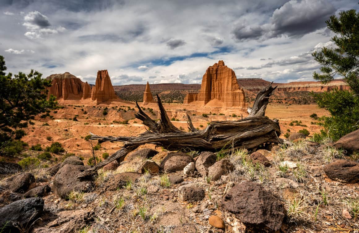 Capitol Reef National Park