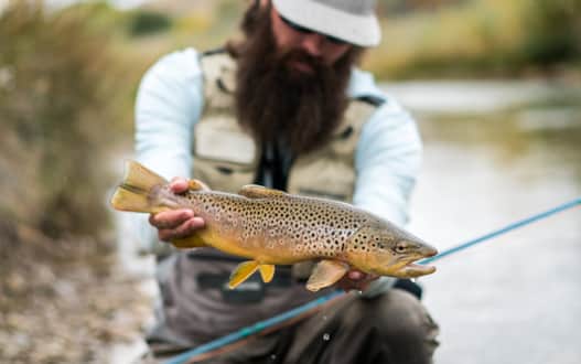 The lake holds several species like brown, cutthroat, tiger and rainbow trout.
