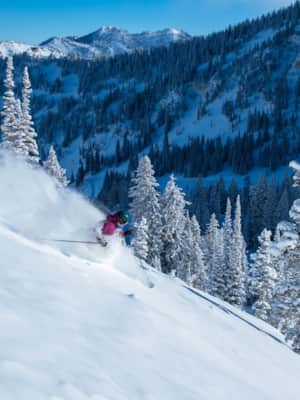 Snowbird_Ski-Resorts_Markewitz-Scott