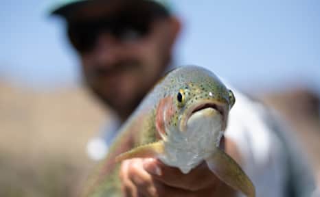Crossland holds a fish on his boat on the Green River.