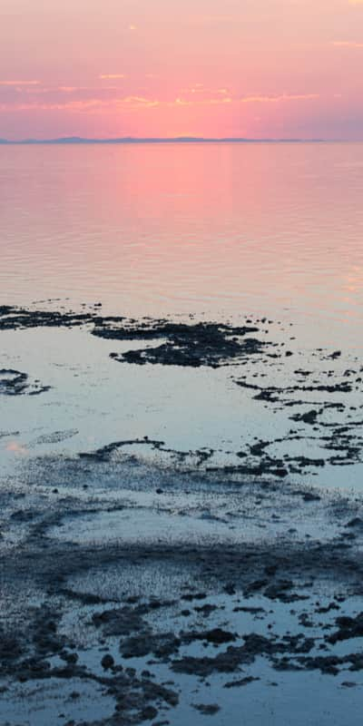 antelope-island_jaimi-butler-7_morgenthau-nicole_2020