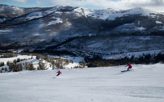 Corduroy runs at Solitude.