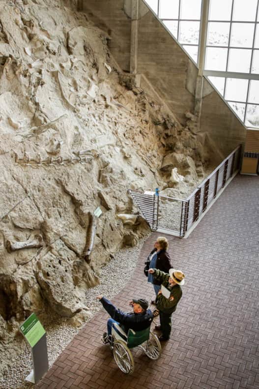 web2000_dnm_osler_utah-dinosites-apr2014-mto2404