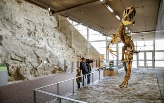 The Allosaurus reconstruction stands watch at the Quarry Exhibit Hall.