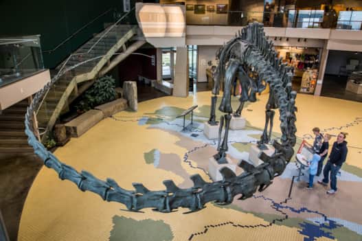 web2000_vernalfieldhouse_osler_utah-dinosites-apr2014-mto2218