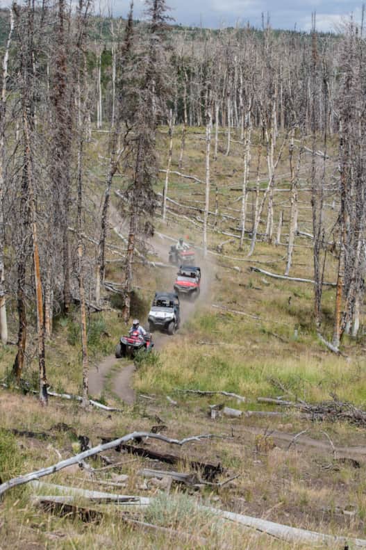 Paiute Trail