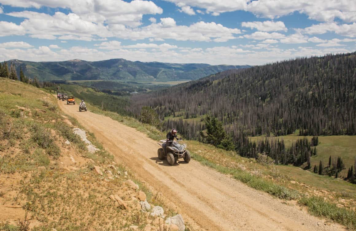 Arapeen Trail