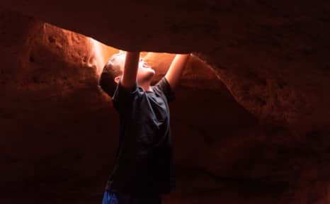 The park presents a fun and unique experience for those who wish to explore on foot.