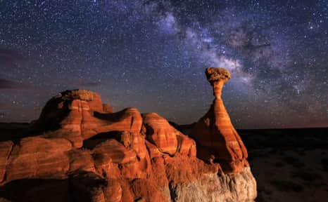 The Toadstools by starlight.