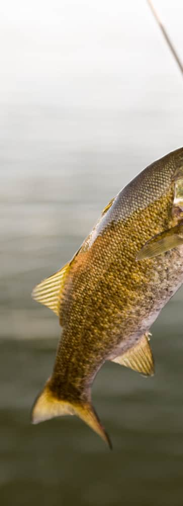 web2000_20160721_utah_starvation_fly-fishing-_dsc6509-01