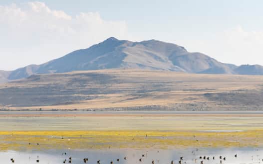 Antelope Island State Park