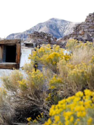 WestDesert-Frisco_RSerago_1031_a_1