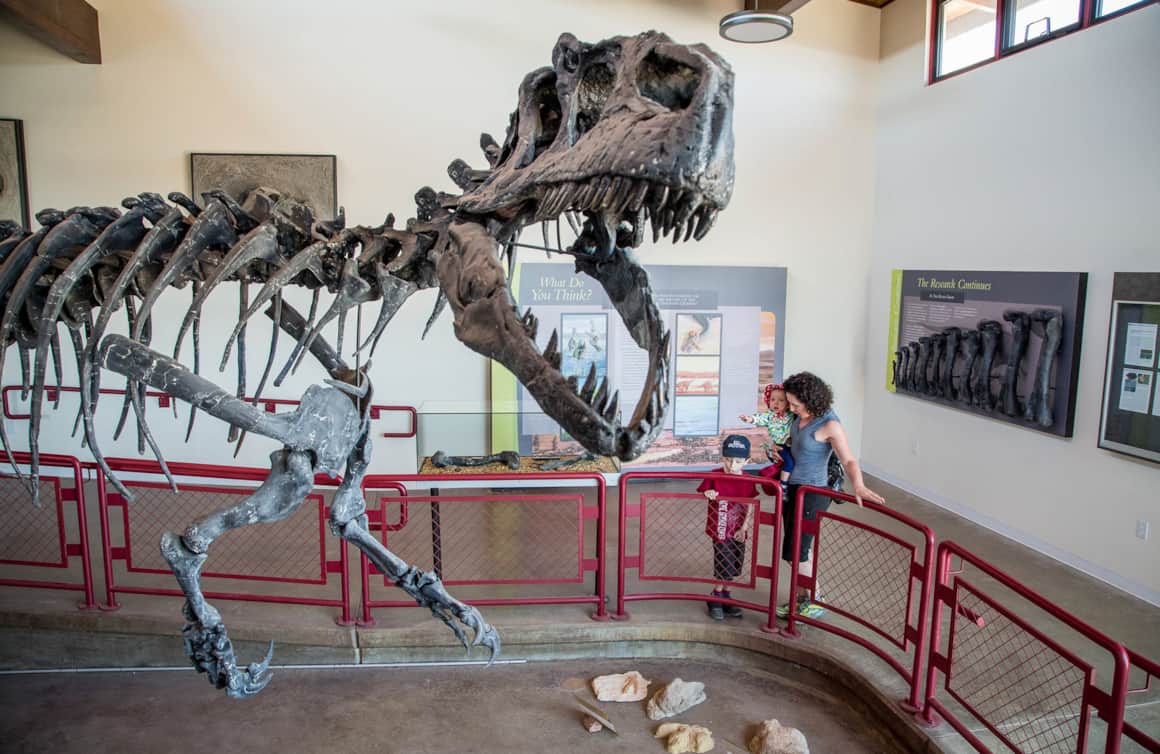 A full Allosaurus skeleton, nicknamed “Al”, has been on display at Cleveland-Lloyd Dinosaur Quarry since June 1963 (and was remounted in 2013).