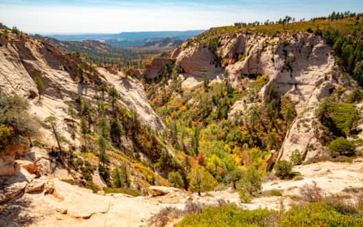 Manti-La Sal National Forest