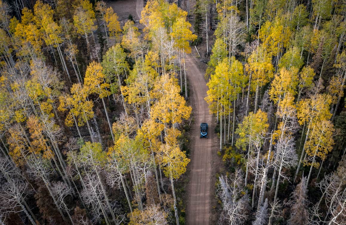 Aerial views of Fishlake National Forest.