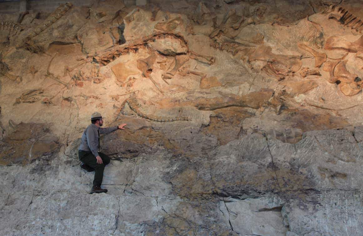 The Quarry Exhibit Hall at Dinosaur National Monument features more than 1,500 fossils embedded in a cliff face.