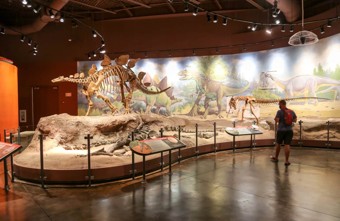 Utah Field House of Natural History State Park Museum