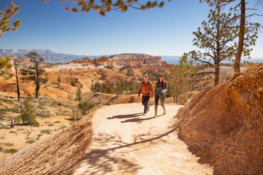Bryce Canyon is an alpine forest with as many red rock hoodoos as trees.