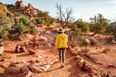 Hiking in Canyonlands National Park