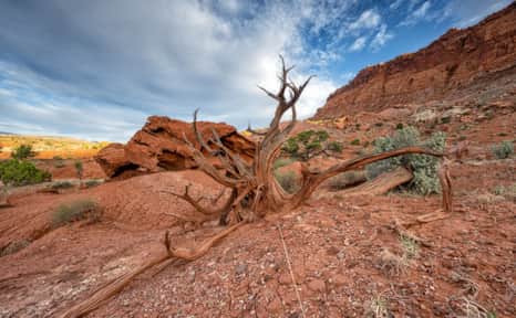 Capitol Reef National Park