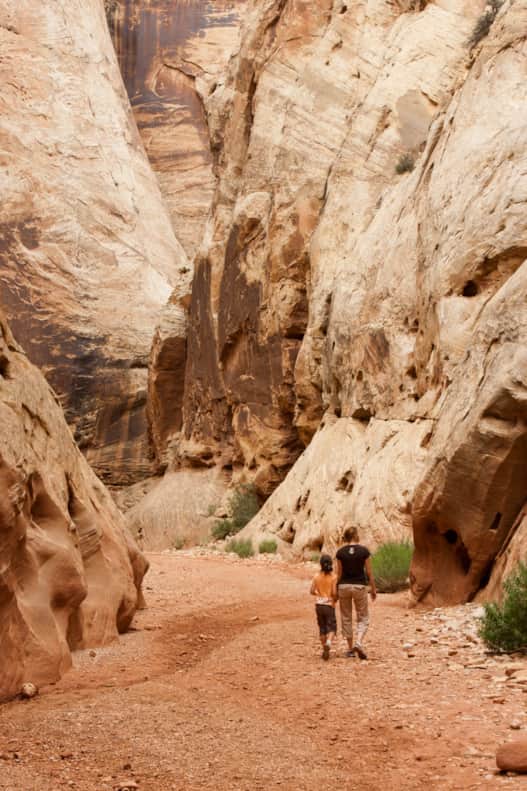 web2000_capitol_reef_np_refresh_grand-wash-capitol-reef-national-park-matt-morgan