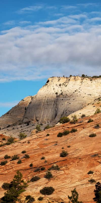 When visiting Zion, be sure to watch where you step, know your physical limits and pack all your necessary essentials.