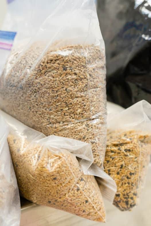 Some of the culinary world’s biggest names in baking swear by Central Milling flour, such as Amy’s Kitchen, Alvarado Street Bakery, and Tony Gemignani — 13-time World Pizza Cup Champion.