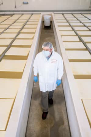 A worker wearing protective gear walks between large vats of cheese curds in a dairy processing facility.