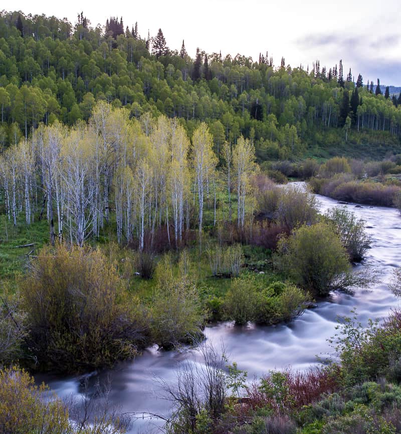 About 80 miles north of Salt Lake City, the Logan area hosted the Shoshone tribe’s ancestral hunting for thousands of years.