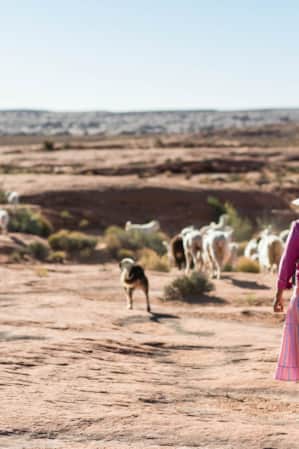 Woman walking outside with her dog on a hilly red rock landscape, herding a group of sheep.