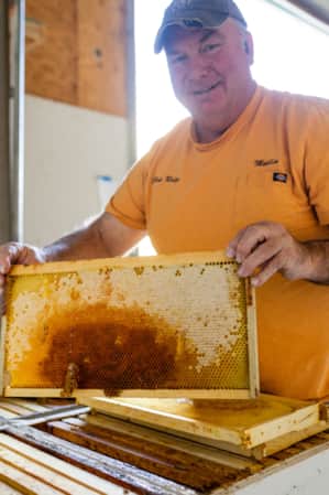 A man in a warehouse holding up a honeycomb frame from a beehive, with raw honey dripping from it.