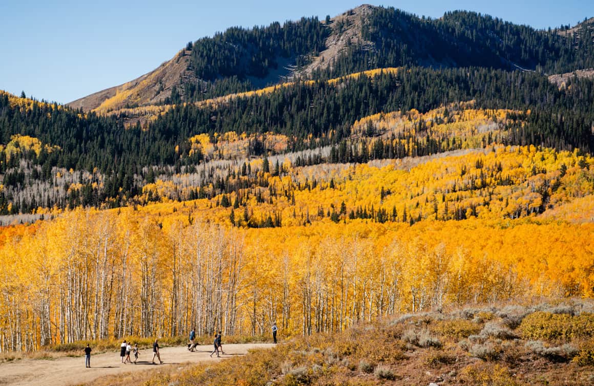 In Big Cottonwood Canyon, you can navigate your way through aspen groves to high alpine lakes.