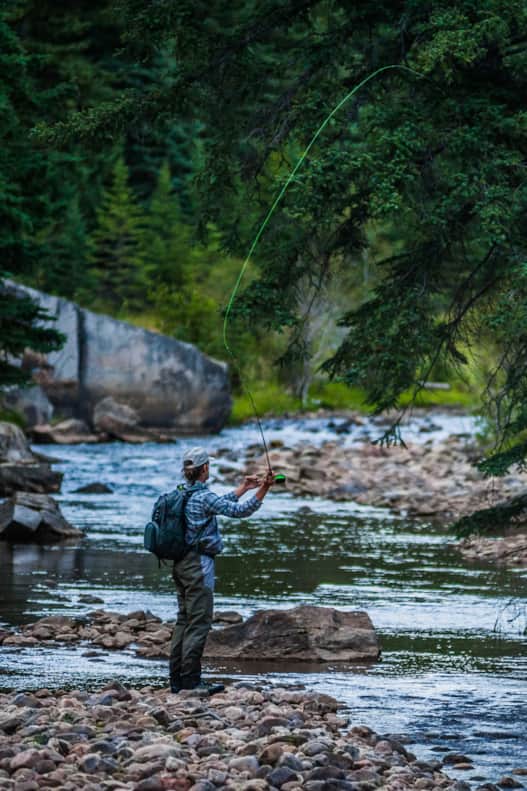 Anyone age 12 and older is required to have a license to fish in Utah.