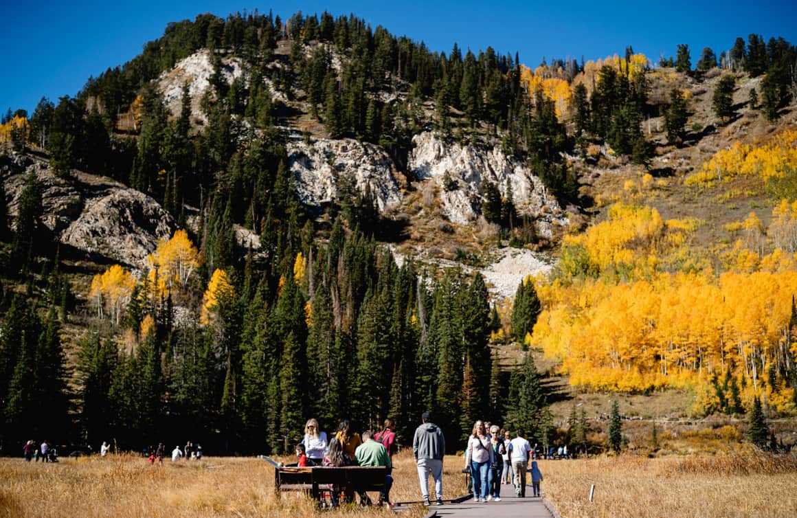 The Tri-Canyon Area (Millcreek and Big and Little Cottonwood canyons) sees roughly 4 million visitors annually. You can help preserve these well-loved destinations by packing out your own trash and staying on designated trails.
