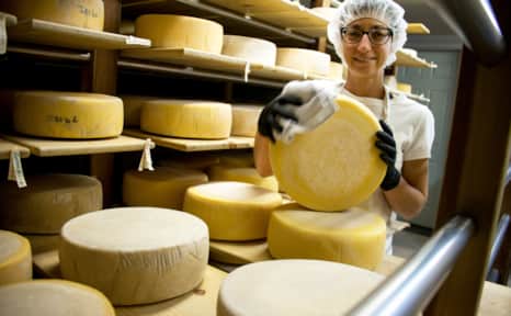 Cache Valley is famous for its dairy heritage, as celebrated by the annual Cache Valley Cheese & Dairy Festival.