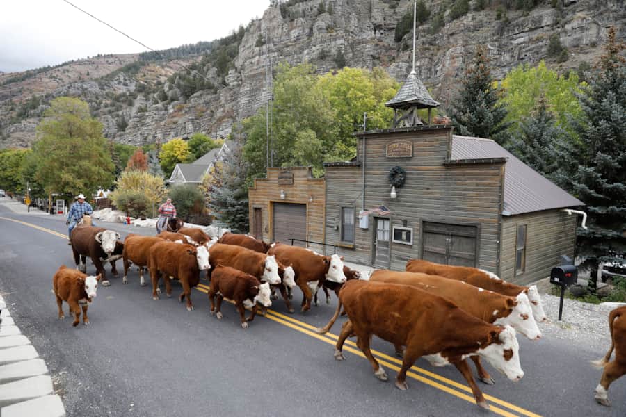 Once a mining boomtown of about 6,000, Ophir isn't completely a ghost town — about 30-40 people still call it home.