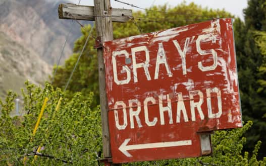 Utah locals know the quality of fruit that is produced in Box Elder County. The region is famous for its orchards and fruit farms.