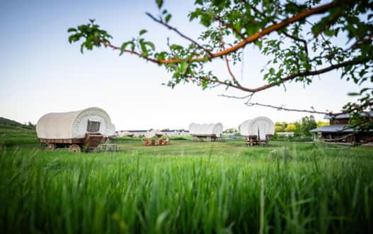In addition to having classic grand canvas tents, Conestoga Ranch also offer the option to glamp in a 4-person or 6-person prairie-style wagon.
