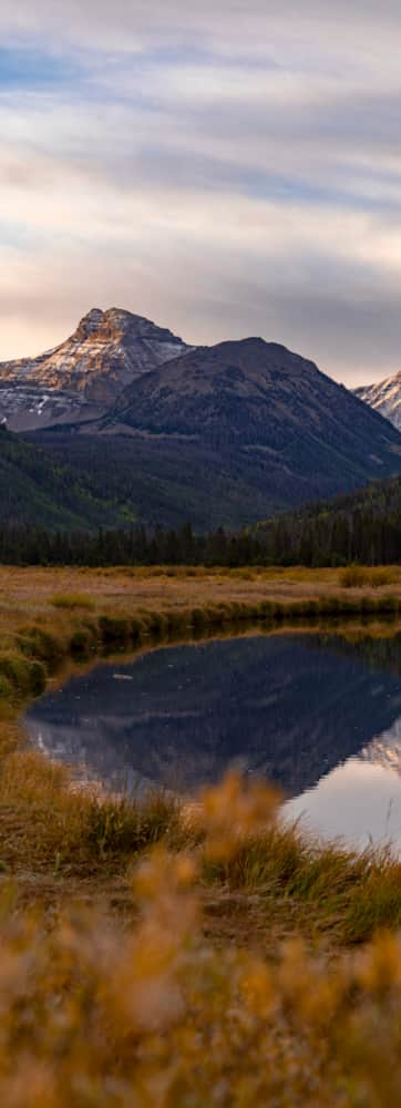 Uinta-Wasatch-Cache_forest_MoreThanJustForests_2020