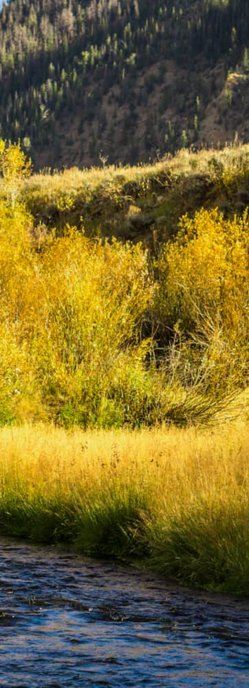 web2000_20160721_utah_currant_creek_fly-fishing-dsc00706-01