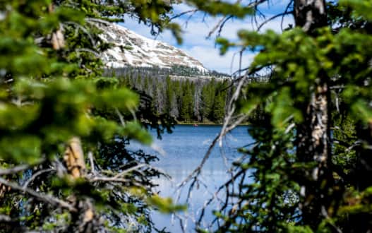 Uintas Fly Fishing