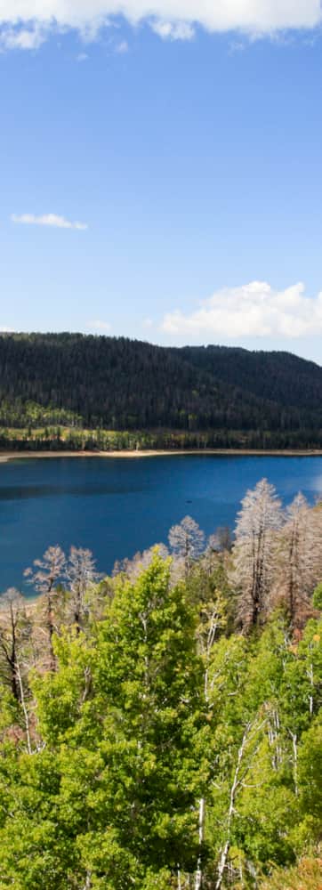 Navajo Lake