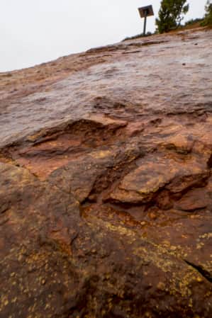 Steep slickrock at Red Fleet State Park, marked with prehistoric tracks.