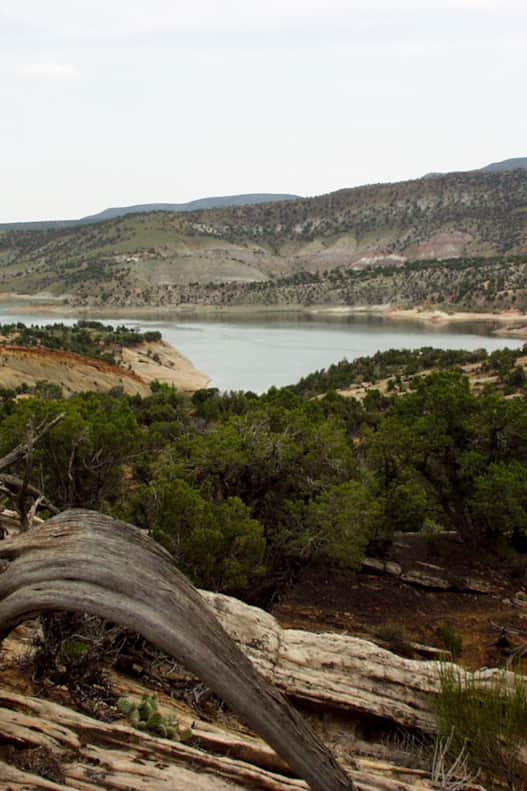 web2000_visitutah_43052651