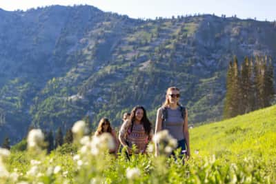 Little-Cottonwood-Canyon_Albion-Basin_Payne-Angie_2024_UOT_Payne_Wildflowers-3354-Edit_1
