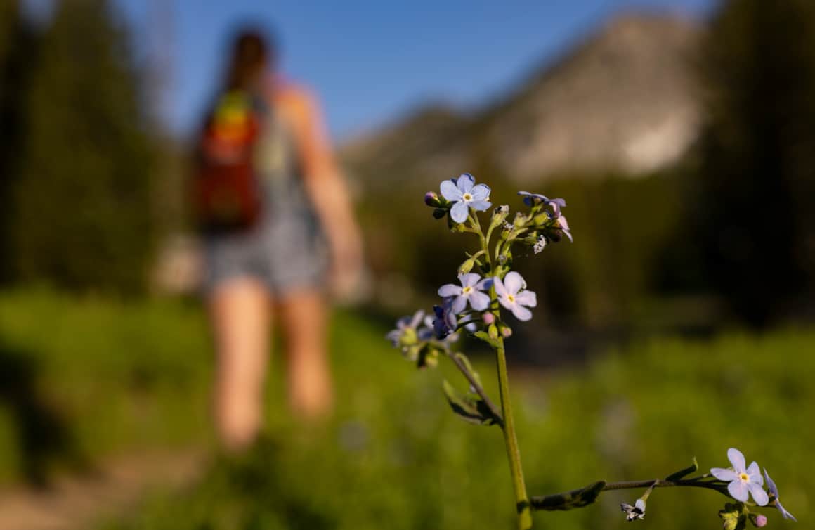 Within the forests, deserts, mountains, basins, and even subtly within urban landscapes, there is an abundance of soothing environments suitable for all abilities in all four seasons.