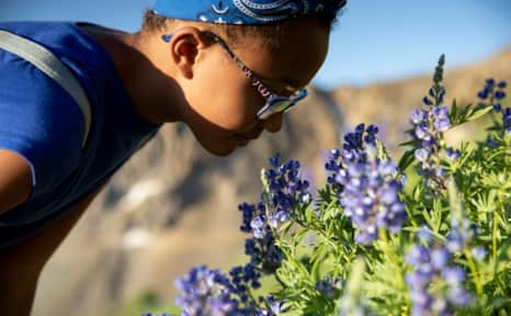 Hiking Snowbird Resort in Little Cottonwood Canyon.
